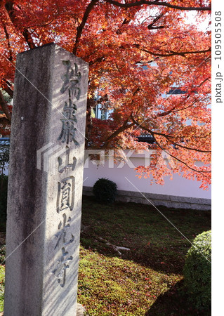圓光寺　京都市左京区　一乗寺駅　叡山電鉄　京阪電鉄　紅葉　紅葉狩り　観光　御朱印　インバウンド 109505508