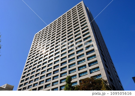 厚生労働省 厚生労働省 109505616