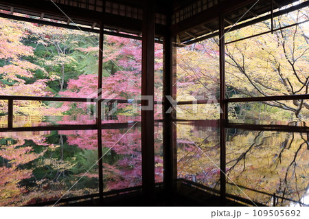 瑠璃光院　叡山電鉄　八瀬比叡山口駅　紅葉　紅葉狩り　秋　フォトスポット　オーバーツーリズム 109505692