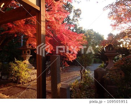 里山 里山 109505951