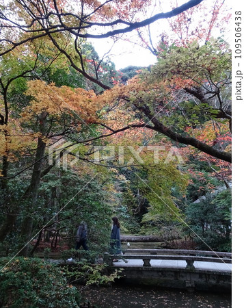 京都の紅葉をめぐる　哲学の道とその周辺寺院 109506438
