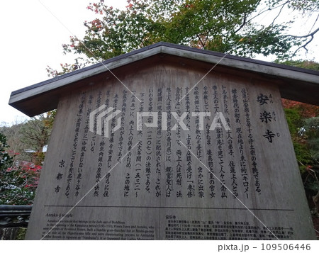 京都の紅葉をめぐる 哲学の道とその周辺寺院 京都の紅葉をめぐる 哲学の道とその周辺寺院 109506446