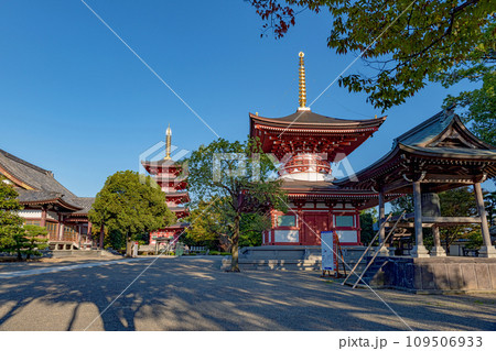 熊本 蓮華院誕生寺 五重塔と多宝塔 109506933