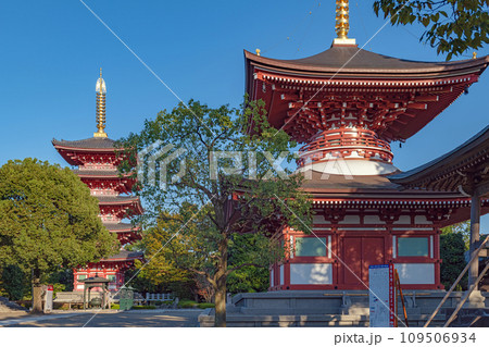 熊本 蓮華院誕生寺 五重塔と多宝塔 熊本 蓮華院誕生寺 五重塔と多宝塔 109506934