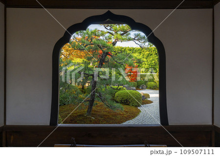 秋の京都　大徳寺塔頭　興臨院　火頭窓から見える庭園 109507111