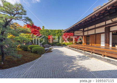 秋の京都　大徳寺塔頭　興臨院　紅葉が美しい方丈前庭 109507115