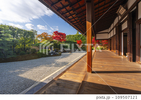 秋の京都　大徳寺塔頭　興臨院　紅葉が美しい方丈前庭 109507121