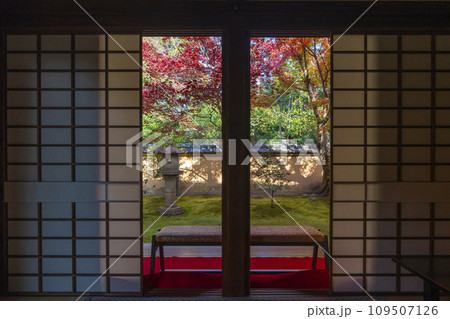 秋の京都 大徳寺塔頭 興臨院 紅葉が美しい方丈庭園 秋の京都 大徳寺塔頭 興臨院 紅葉が美しい方丈庭園 109507126