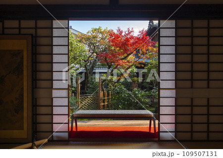 秋の京都　大徳寺塔頭　興臨院　紅葉が美しい方丈庭園 109507131