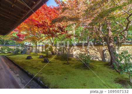 秋の京都 大徳寺塔頭 興臨院 紅葉が美しい方丈庭園 秋の京都 大徳寺塔頭 興臨院 紅葉が美しい方丈庭園 109507132