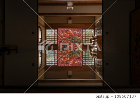 秋の京都 大徳寺の塔頭寺院 興臨院 紅葉のテーブルリフレクション 秋の京都 大徳寺の塔頭寺院 興臨院 紅葉のテーブルリフレクション 109507137