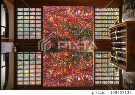 秋の京都　大徳寺の塔頭寺院　興臨院　紅葉のテーブルリフレクション 109507139