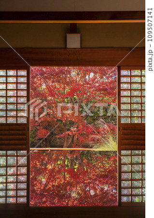 秋の京都　大徳寺の塔頭寺院　興臨院　紅葉のテーブルリフレクション 109507141
