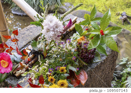 京都　大徳寺の塔頭寺院　興臨院の手水鉢 109507143