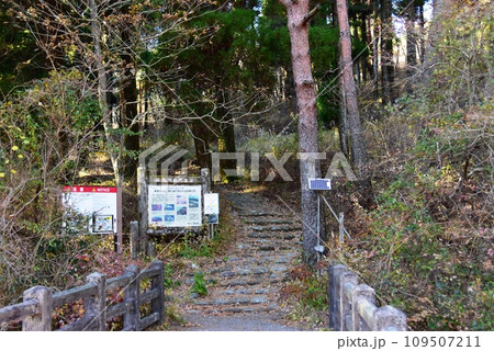 霧島市　高千穂河原霧島神宮の森散策路（登山道）入口と案内板 109507211