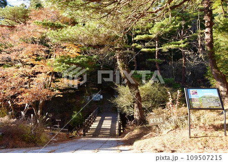 霧島市 高千穂河原霧島神宮の森散策路(登山道)入口と案内板 霧島市 高千穂河原霧島神宮の森散策路(登山道)入口と案内板 109507215