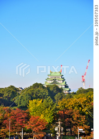 《愛知県》秋の紅葉に染まる名古屋城 109507383
