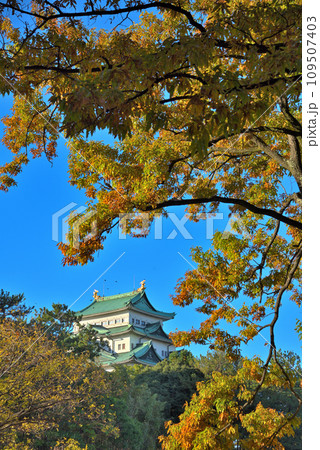 《愛知県》秋の紅葉に染まる名古屋城 109507403