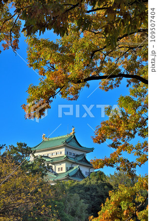 《愛知県》秋の紅葉に染まる名古屋城 109507404
