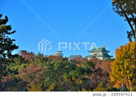 《愛知県》秋の紅葉に染まる名古屋城 109507411