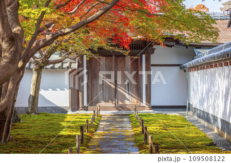 秋の京都　大徳寺塔頭　黄梅院　紅葉に包まれた唐門 109508122