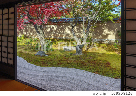 秋の京都　大徳寺塔頭　黄梅院　紅葉に包まれた庭 109508126