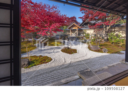 秋の京都　大徳寺塔頭　黄梅院　紅葉に包まれた庭 109508127