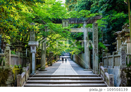 香川 金刀比羅宮　桜馬場の鳥居 109508139