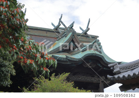 瀧宮神社　本殿 109508162