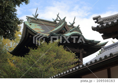 瀧宮神社 本殿 瀧宮神社 本殿 109508163