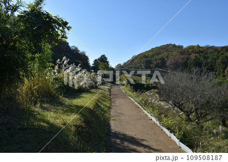 初冬のいせはら塔の山緑地公園の景色 109508187