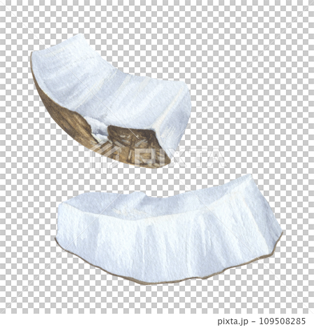 Coconut Slices. Watercolor botanical illustration. Hand drawn clip art on isolated background. Tropical exotic Fruit painting. Drawing of sweet food. A set of pieces of nut pulp 109508285