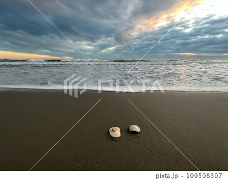雲の多い朝焼けの太平洋の波打ち際 109508307
