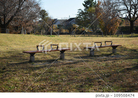 初冬の相模三川公園の風景 初冬の相模三川公園の風景 109508474