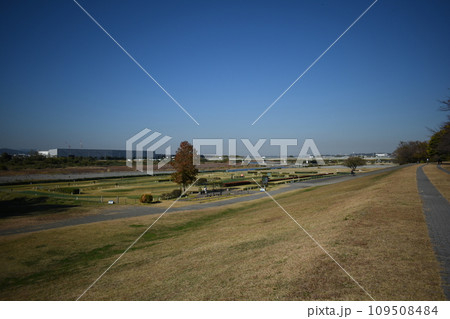 初冬の相模三川公園の風景 初冬の相模三川公園の風景 109508484