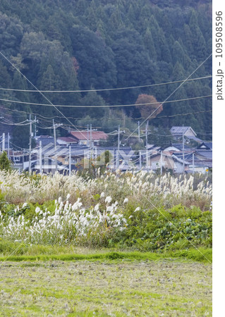 ススキ並ぶ線路沿いの風景 鳥取県 八頭町 ススキ並ぶ線路沿いの風景 鳥取県 八頭町 109508596
