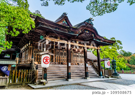 香川 金刀比羅宮 御本宮 香川 金刀比羅宮 御本宮 109508675
