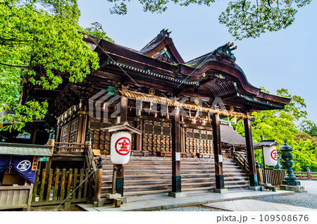香川 金刀比羅宮　御本宮 109508676