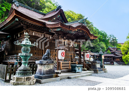 香川 金刀比羅宮 御本宮 香川 金刀比羅宮 御本宮 109508681
