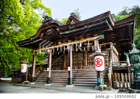 香川 金刀比羅宮 御本宮 香川 金刀比羅宮 御本宮 109508682