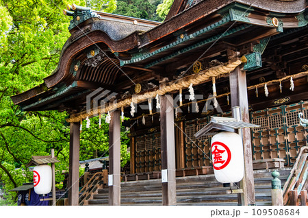 香川 金刀比羅宮　御本宮 109508684