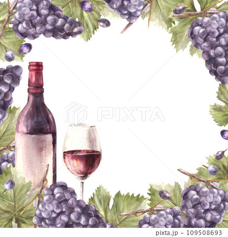 Watercolor square frame bunch of blue grapes, leaves and berry with bottle and glass red wine. Grapevine label hand painted illustration template for card, wine list, menu Isolated on white background Watercolor square frame bunch of blue grapes, leaves and berry with bottle and glass red wine. Grapevine label hand painted illustration template for card, wine list, menu Isolated on white background 109508693