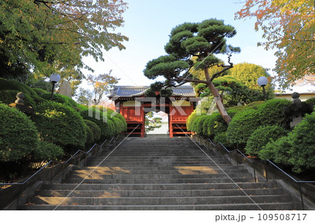 護国神社 不老門(ふろうもん) 東京都文京区 護国神社 不老門(ふろうもん) 東京都文京区 109508717