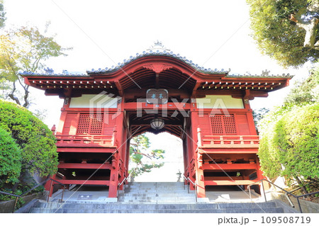 護国神社　不老門（ふろうもん）　東京都文京区 109508719
