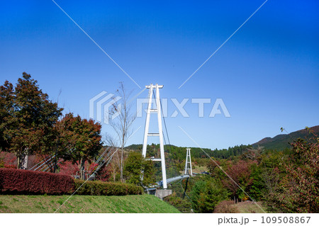 九重“夢”大吊橋と紅葉 109508867