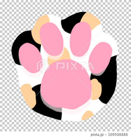 Cat Paw Cartoon illustration Calico Cat Paw 109508888