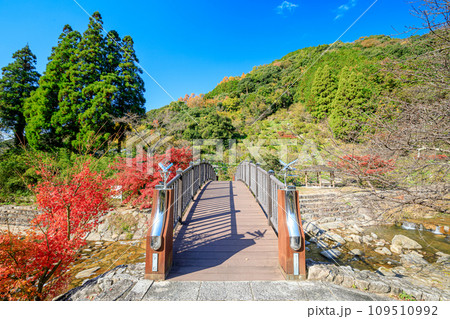 秋のほたる橋 見帰りの滝付近 佐賀県唐津市 秋のほたる橋 見帰りの滝付近 佐賀県唐津市 109510992