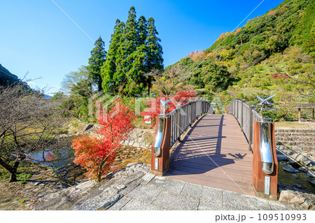 秋のほたる橋 見帰りの滝付近 佐賀県唐津市 秋のほたる橋 見帰りの滝付近 佐賀県唐津市 109510993