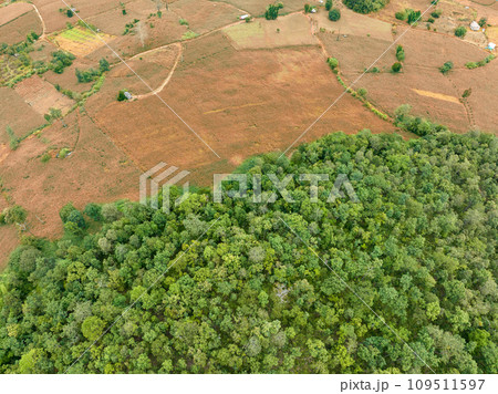 The biggest cause of forest loss is agricultural deforestation ,environmental damage in Southeast Asia , global warming and environment. 109511597