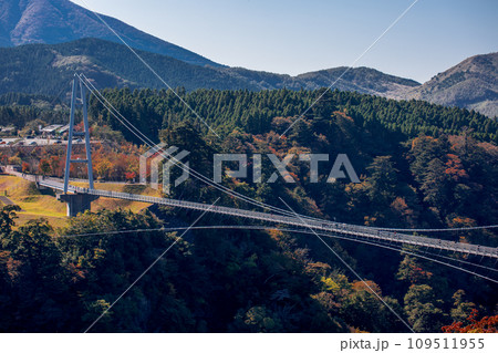 九重“夢”大吊橋と紅葉 九重“夢”大吊橋と紅葉 109511955